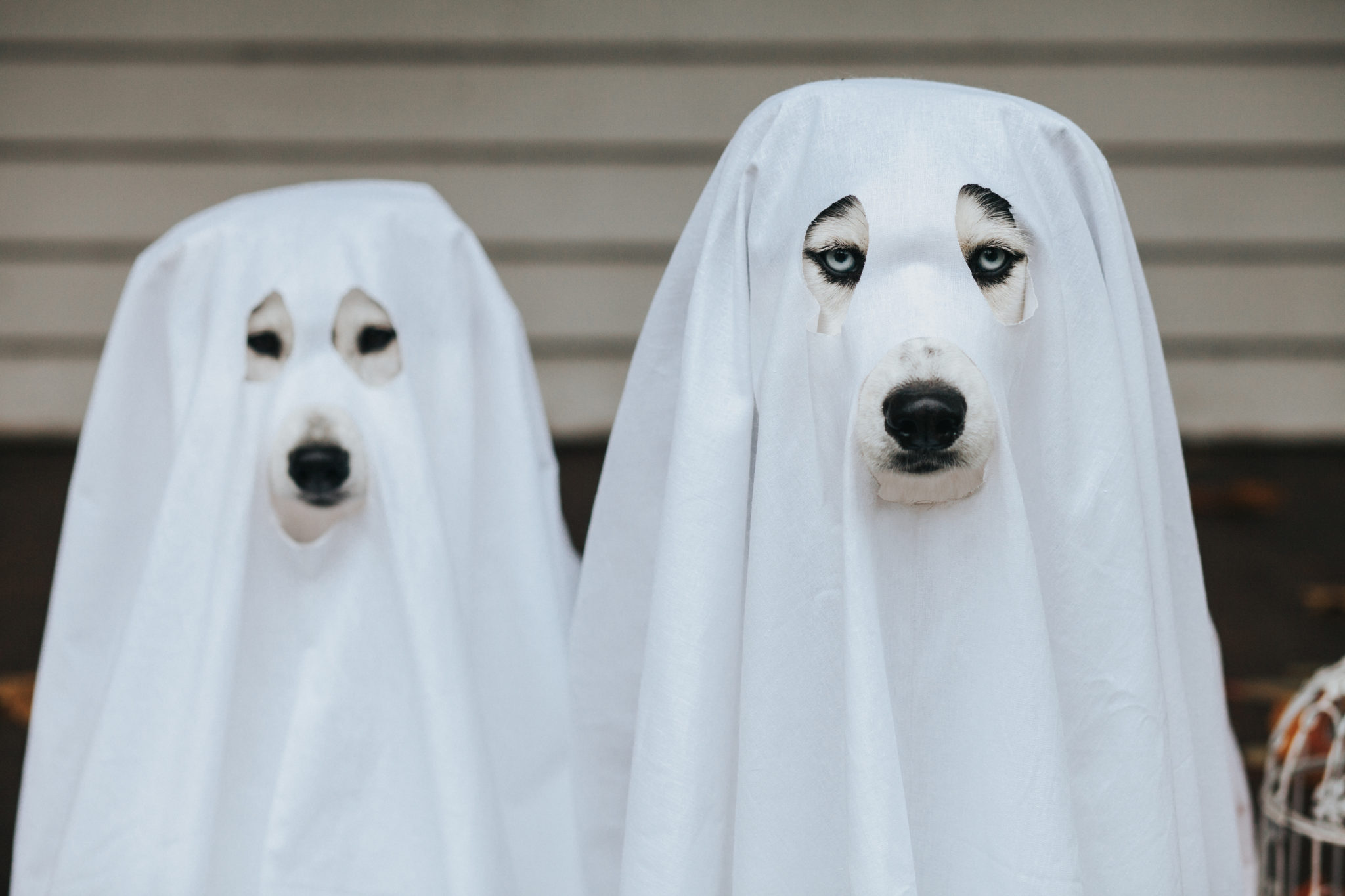 How To Get Past Someone Ghosting You